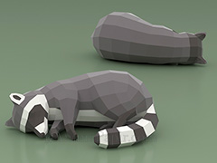 Sleeping Raccoon